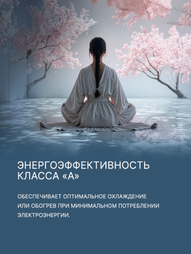 Сплит-система Aqua AQ-50BRQ1/R3(IN)/AQ-50BRQ1/R3(OUT) Biwa